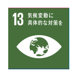 SDGs
