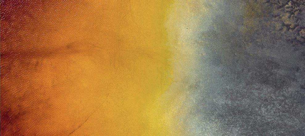 リスクマネジメント